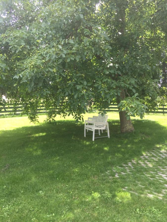Lekerweg 32 Lägenhet Wijdenes Exteriör bild