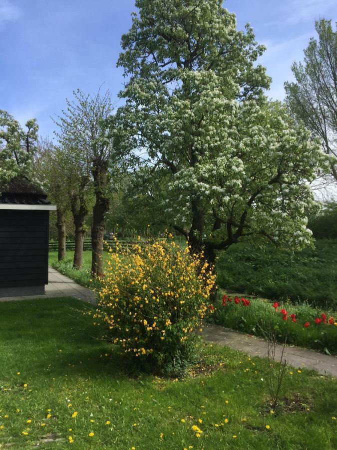 Lekerweg 32 Lägenhet Wijdenes Exteriör bild
