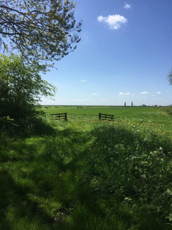 Lekerweg 32 Lägenhet Wijdenes Exteriör bild