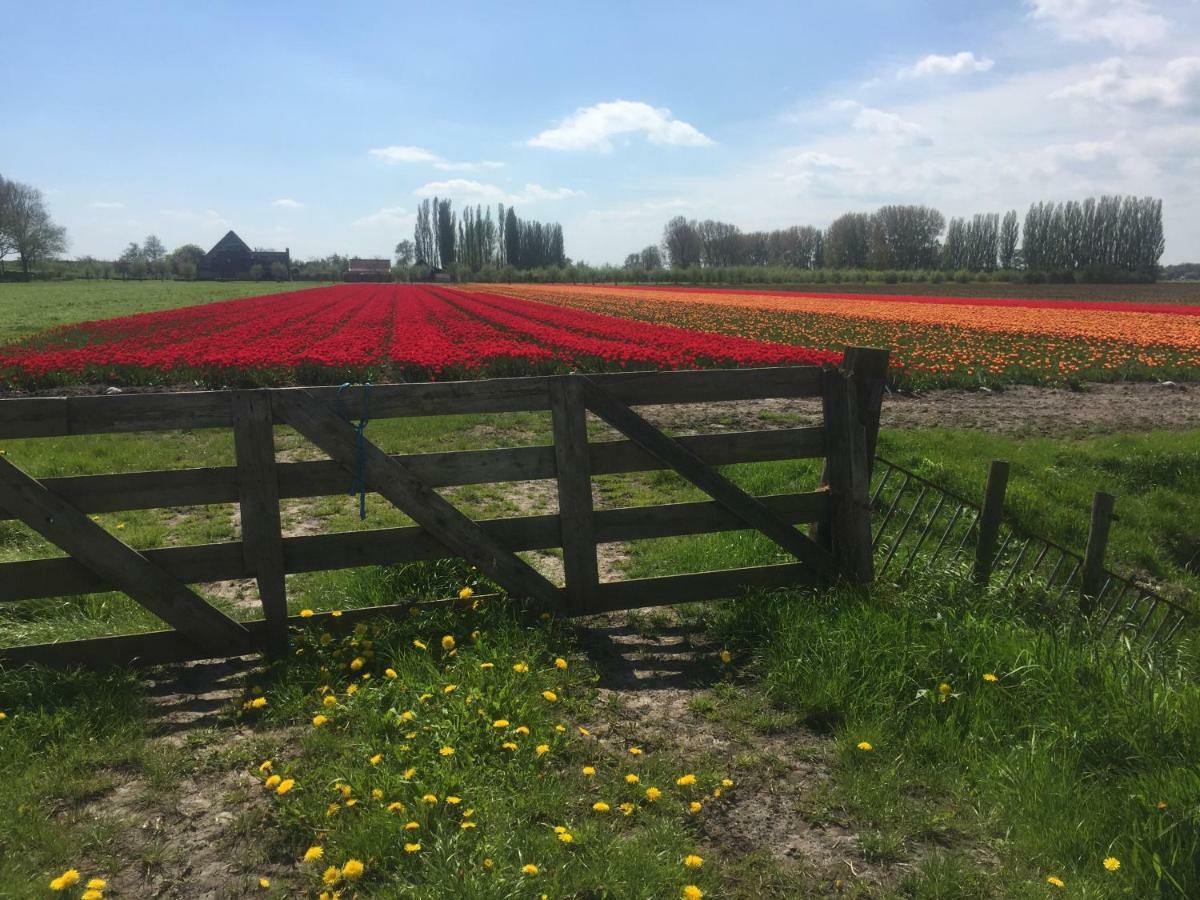 Lekerweg 32 Lägenhet Wijdenes Exteriör bild